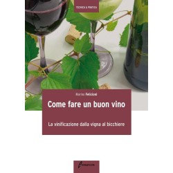 Come fare un buon vino