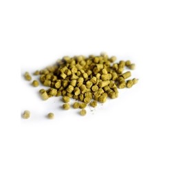 Luppolo Tettnang (Tettnangher) 100 gr