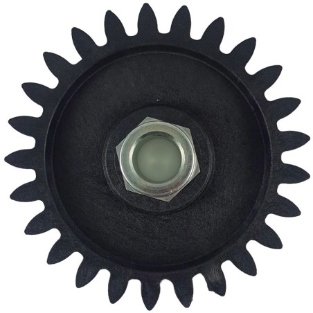 Ingranaggio 25 denti - foro ⌀18 mm per pigiadiraspatrice