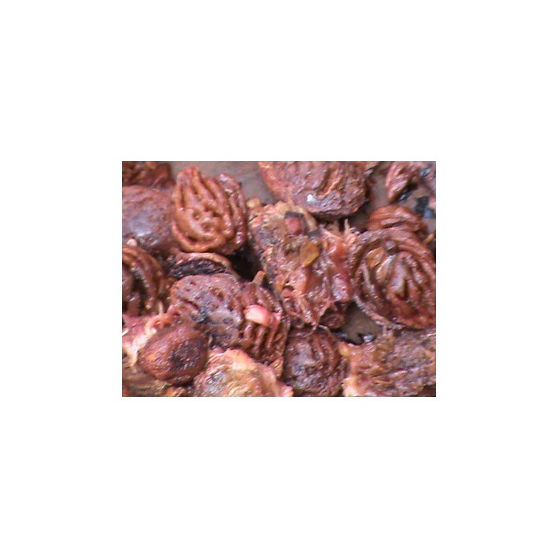 Denocciolatrice passatrice frutta 1000 kg/h