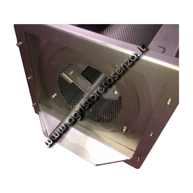 Denocciolatrice passatrice frutta 1000 kg/h