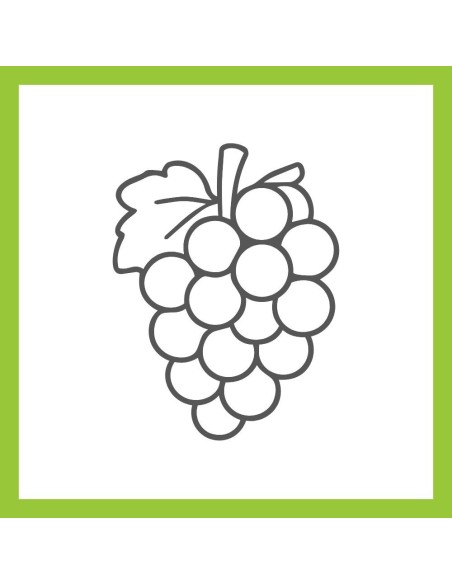 Winemaking equipment