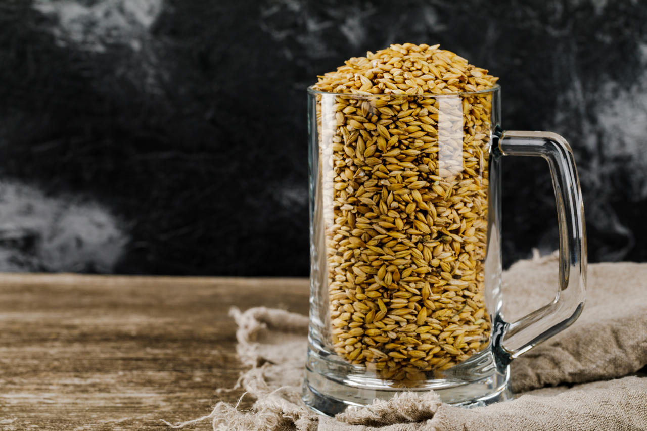 malto d'orzo