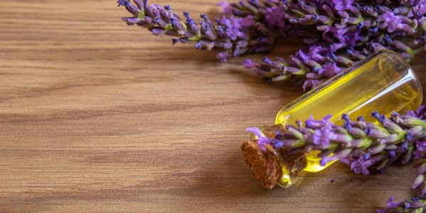 Olio essenziale di lavanda: estrazione e proprietà