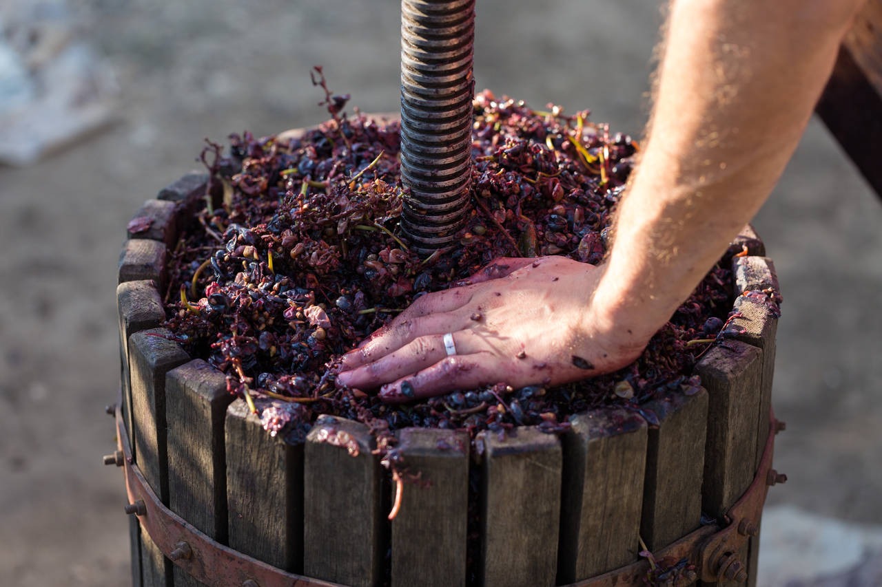 Come Fare il Vino: Guida alla Vinificazione