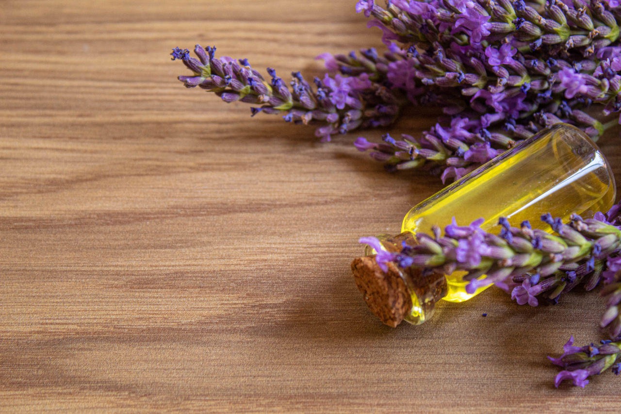 Olio essenziale di lavanda: estrazione e proprietà