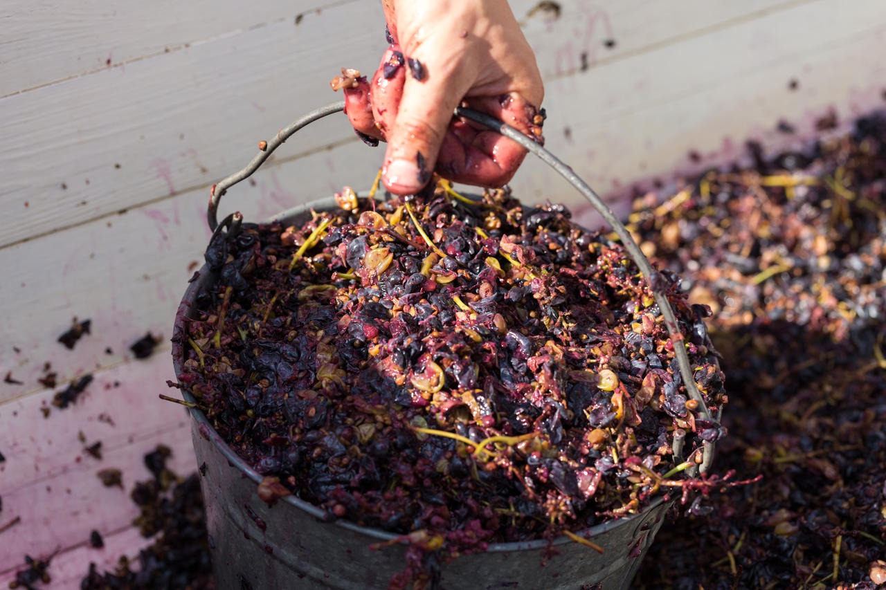 La microvinificazione e minifermentazione del vino